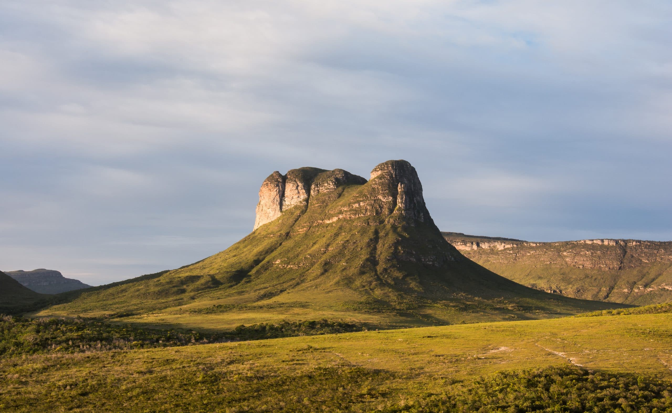 Morrão